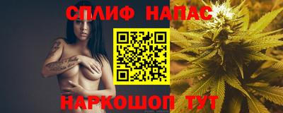 гидропоника Можга