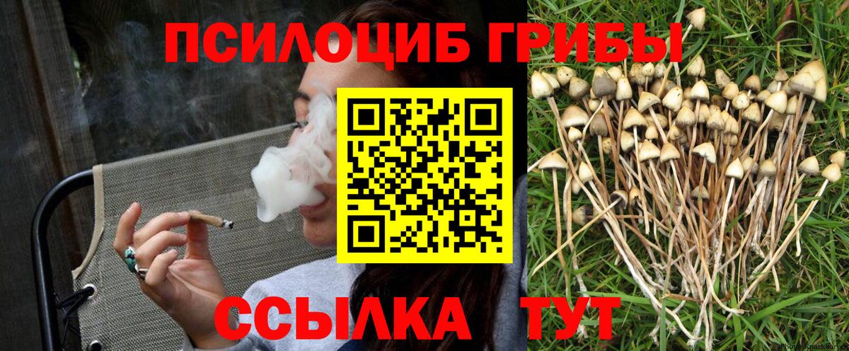 Ялта  Псилоцибиновые грибы Magic Shrooms  Псилоцибиновые грибы Cubensis  Вход с VPN 
